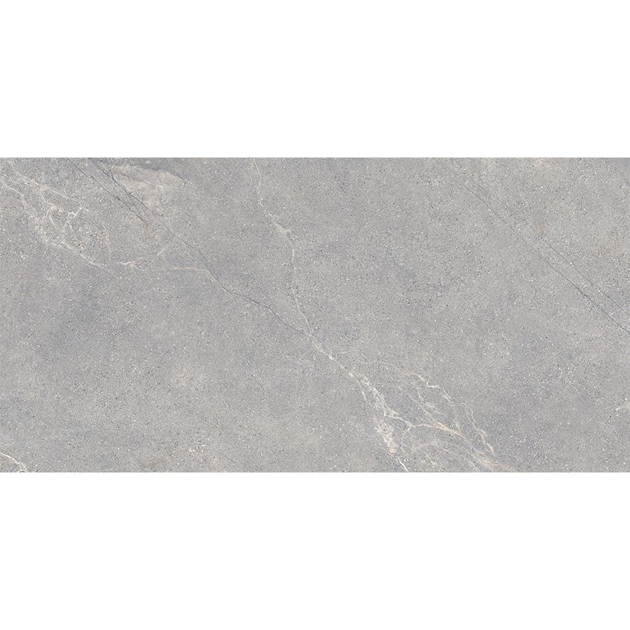 Anthology | Grey 12"x 24"