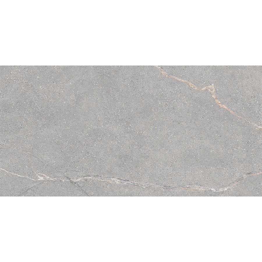 Anthology | Grey 12"x 24"