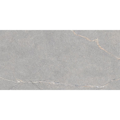 Anthology | Grey 12"x 24"