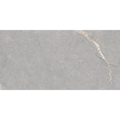 Anthology | Grey 12"x 24"