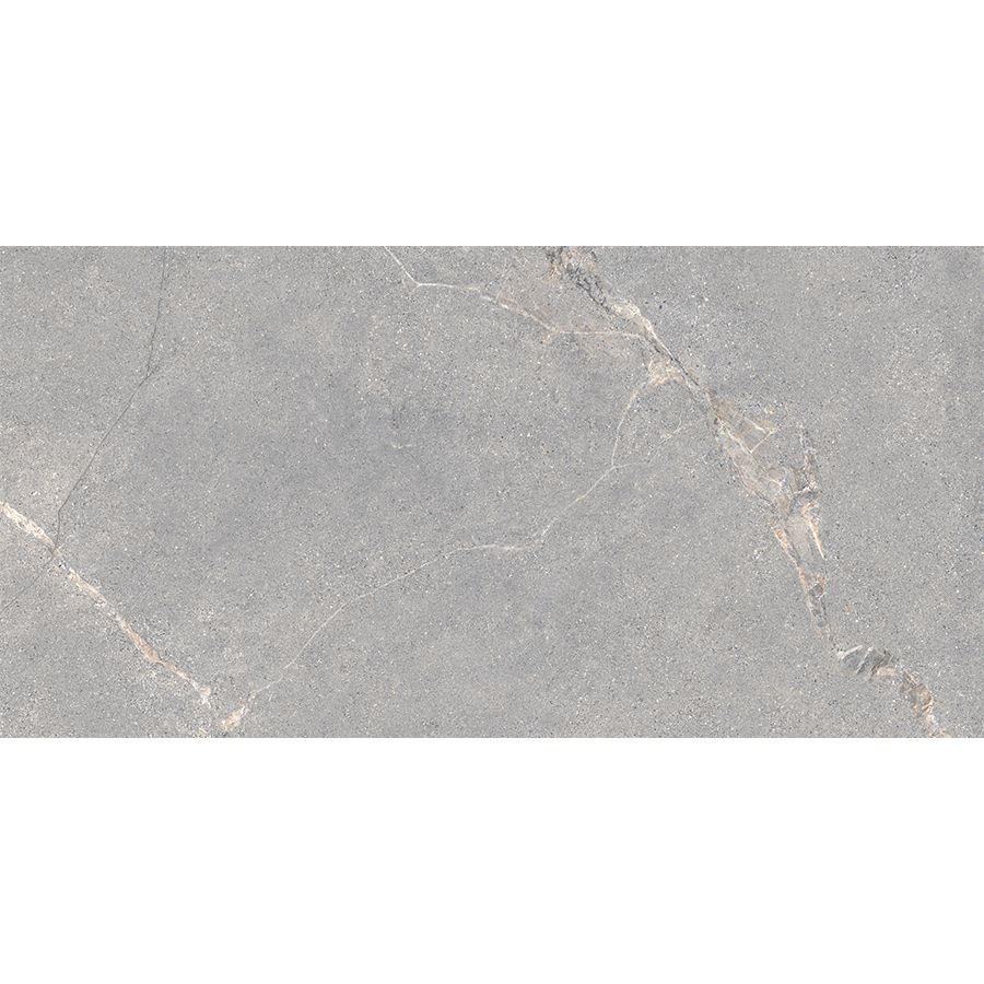 Anthology | Grey 24"x 48"