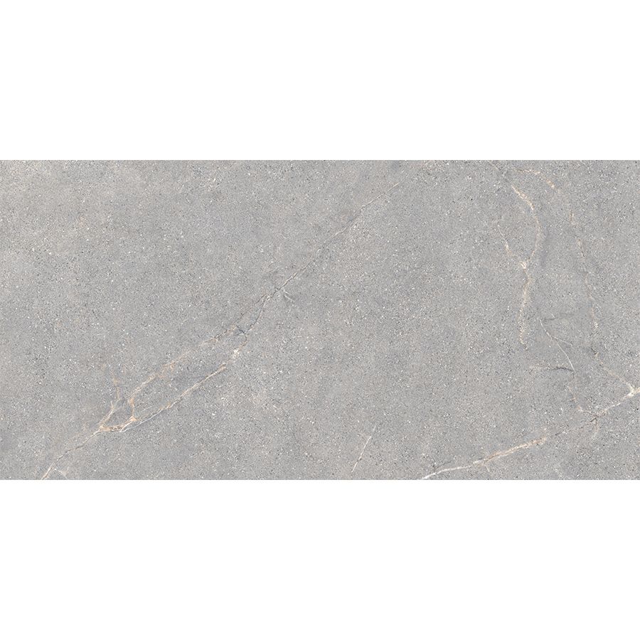Anthology | Grey 24"x 48"
