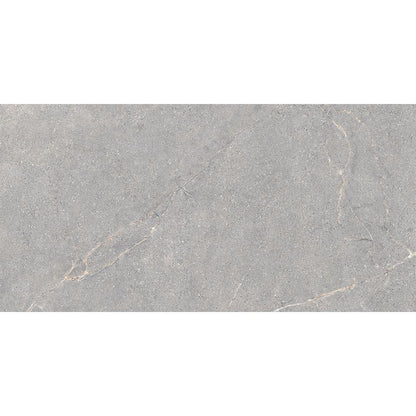 Anthology | Grey 24"x 48"