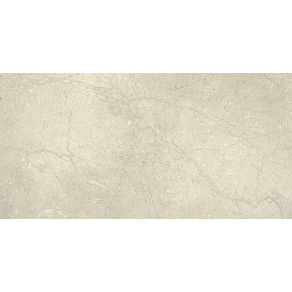 Anthology | White 12"x 24"