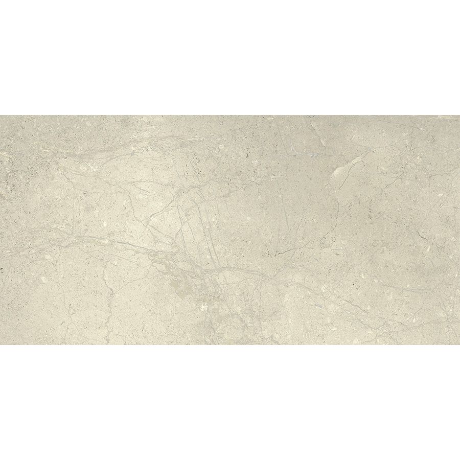 Anthology | White 12"x 24"