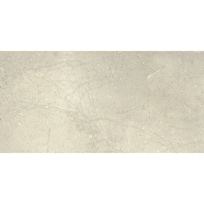 Anthology | White 12"x 24"