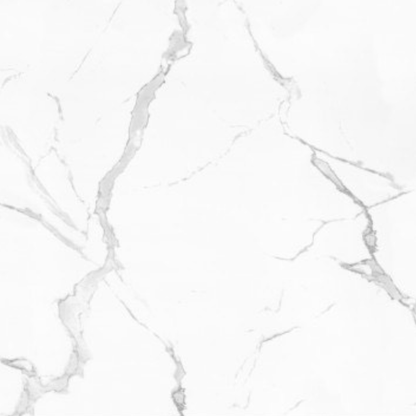 Ceramic Tile - Carrara 260PA Polish 12x24 - D & R Flooring