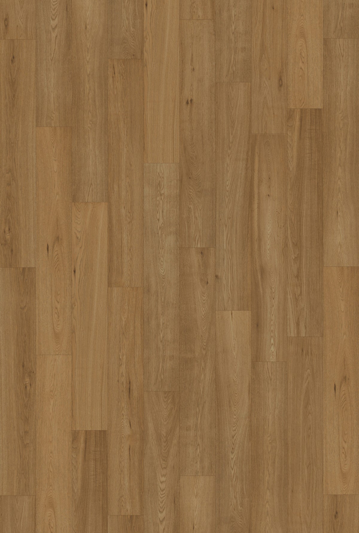 Inhaus Ceramin Gallery German Flooring - Langara #63364