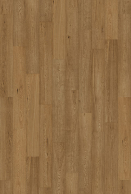 Inhaus Ceramin Gallery German Flooring - Langara #63364