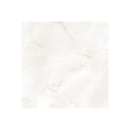 A room setting featuring Classica Ambra Matte tiles on the floor, highlighting the tile's elegant matte finish.
