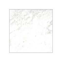 Close-up view of a single Classica 12x12 Carrara glazed porcelain tile showing its subtle white and grey veining.