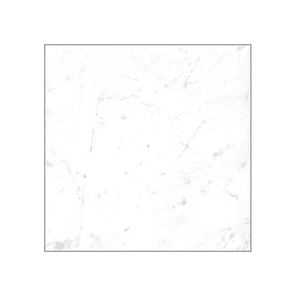 An outdoor patio area paved with Classica 12x12 Carrara tiles, demonstrating its frost resistance.