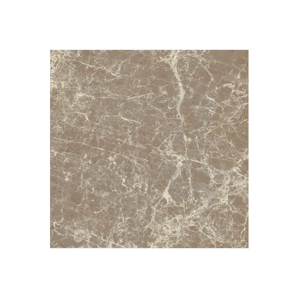 A detailed shot of the Classica Dark Emperador Matte tile surface, emphasizing its texture and slight color variation.