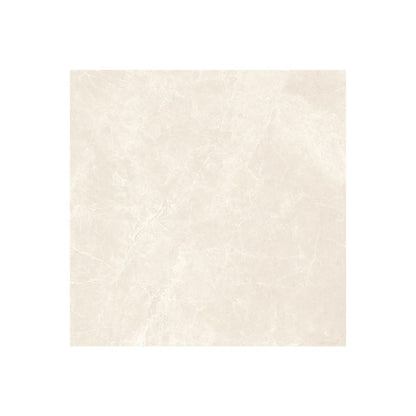 A bathroom or shower wall tiled with Classica 12x12 Marfil Matte tiles, demonstrating its suitability for wet areas.