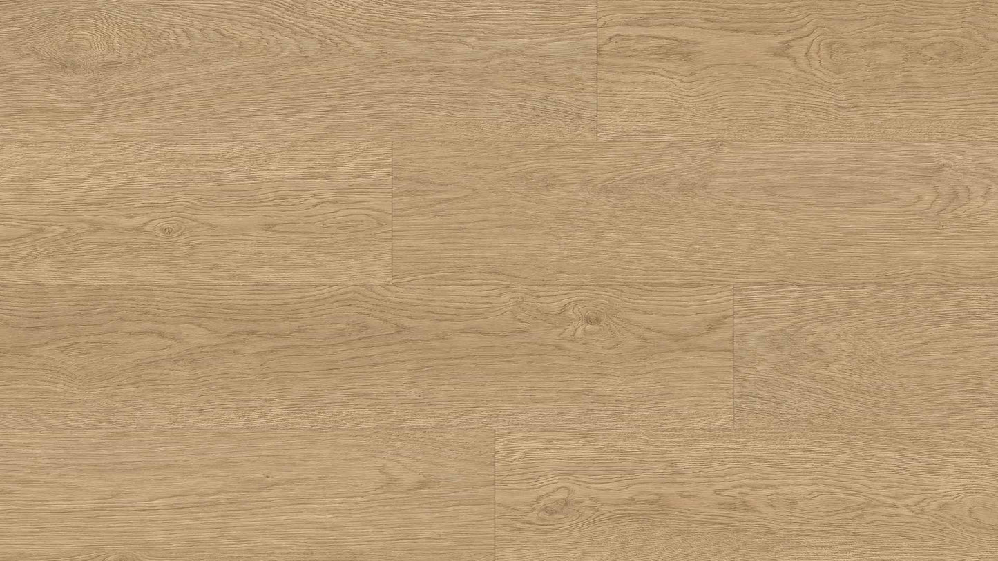 EUROSTYLE Venice Grand Flex Waterproof Luxury Vinyl Plank - Livorno Glue Down