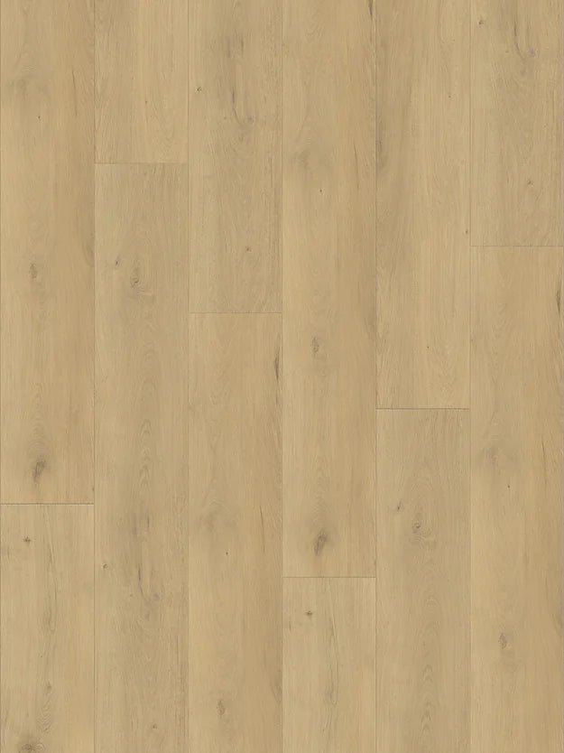 Harbinger Craftsman Vinyl - Paris HCP 66055R - D & R Flooring