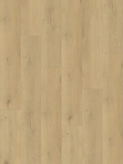 Harbinger Craftsman Vinyl - Paris HCP 66055R - D & R Flooring