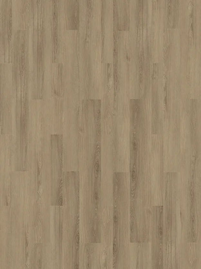 Harbinger SPC Vinyl - Alexandria - D & R Flooring