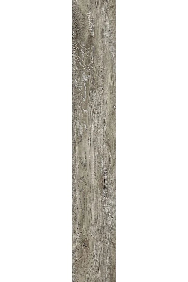 Harbinger SPC Vinyl - Ohio Buckeye - D & R Flooring