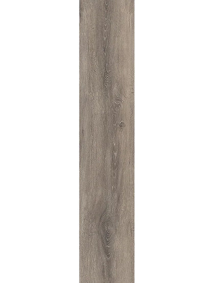 Harbinger WPC Vinyl - Cambridge - D & R Flooring