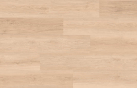 HTBC CYRUS FLOORS Laminate Maple Essence - Honey ME005 - D & R Flooring