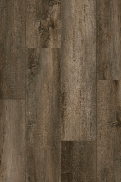 Moscow Vinyl SPC - Shalom 775 - D & R Flooring
