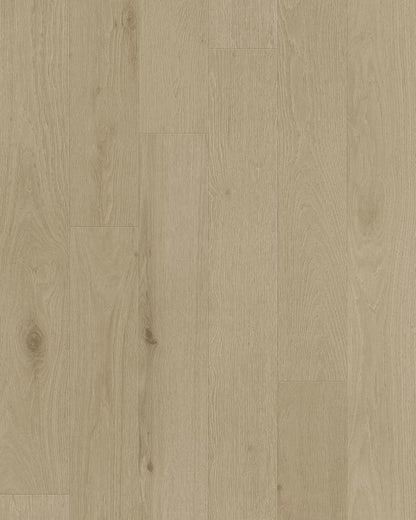 Toucan 3/4" Engineered Hardwood TCN 101 - Oyster TCN101 - D & R Flooring