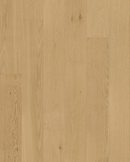 Toucan 3/4" Engineered Hardwood TCN 102 - Tusk TCN102 - D & R Flooring