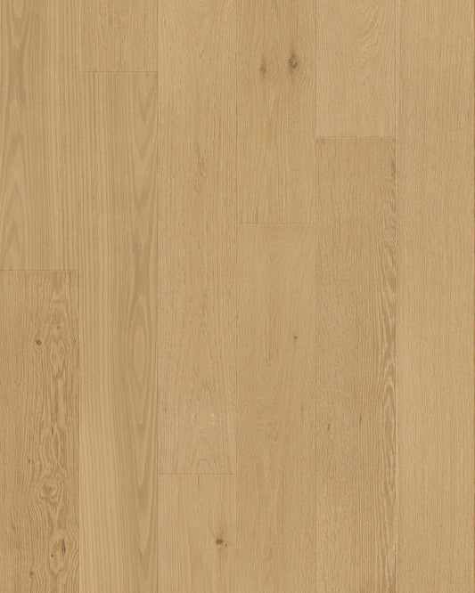 Toucan 3/4" Engineered Hardwood TCN 102 - Tusk TCN102 - D & R Flooring