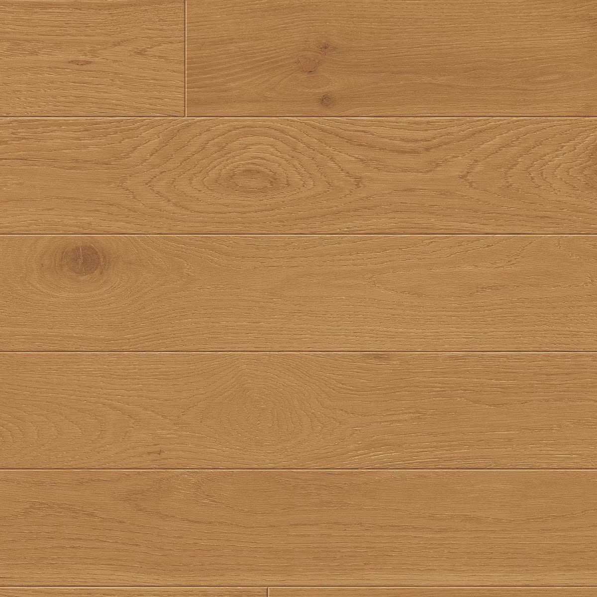 Toucan 3/4" Engineered Hardwood TCN 104 - Woodland TCN104 - D & R Flooring