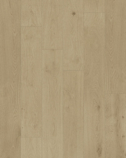 Toucan 3/4" Engineered Hardwood TCN 202 - Shell TCN202 - D & R Flooring