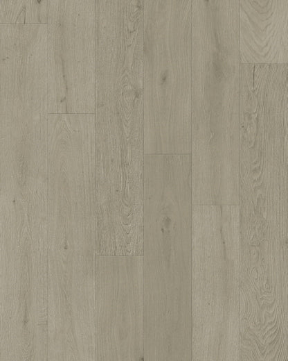 Toucan 3/4" Engineered Hardwood TCN 203 - Satin TCN203 - D & R Flooring