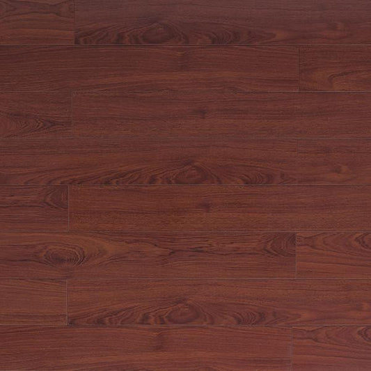Toucan Laminate 5" Glossy - TF2204 - F - TF 2204 - D & R Flooring