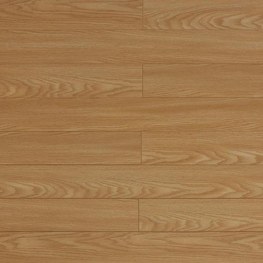 Toucan Laminate 5" - TF1123 - F - TF 1123 - D & R Flooring