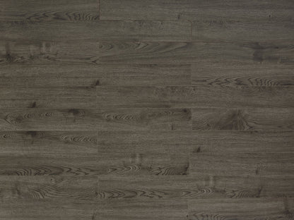 Toucan Laminate 5" - TF3104 - F - TF 3104 - D & R Flooring