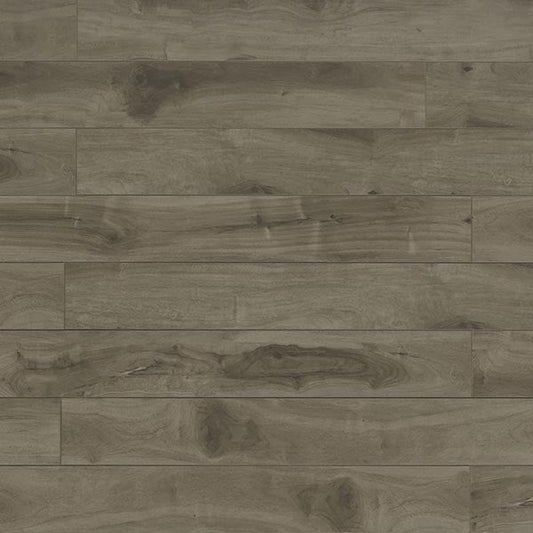 Toucan Laminate 5" - TF3105 - F - TF 3105 - D & R Flooring