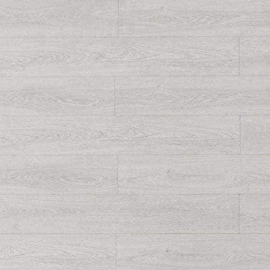 Toucan Laminate Pad Attached - TF8101 - TF 8101 Clam - D & R Flooring