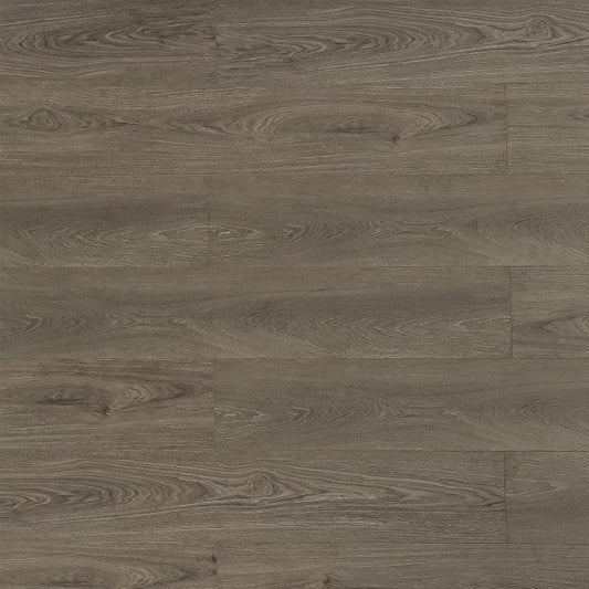 Toucan Laminate Pad Attached - TF8102 - TF 8102 Nubian - D & R Flooring