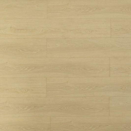 Toucan Laminate Pad Attached - TF8103 - TF 8103 Bandelier - D & R Flooring