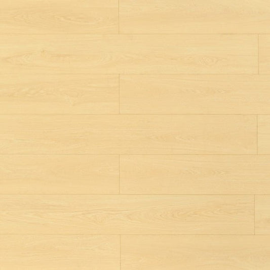 Toucan Laminate Pad Attached - TF8104 - TF 8104 Dune - D & R Flooring