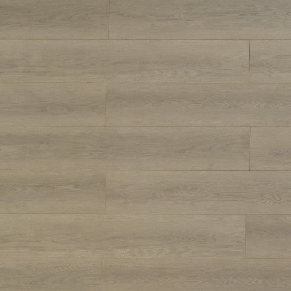 Toucan Laminate Pad Attached - TF8106 - TF 8106 Artisan - D & R Flooring