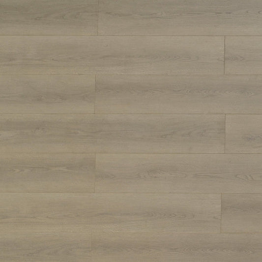 Toucan Laminate Pad Attached - TF8106 - TF 8106 Artisan - D & R Flooring
