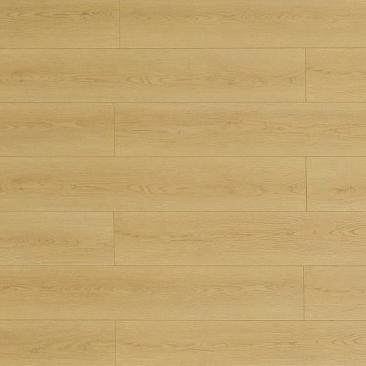 Toucan Laminate Pad Attached - TF8107 - TF 8107 Muscatine - D & R Flooring