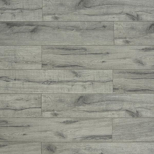 Toucan Laminate - TF6008 - F - TF 6008 - D & R Flooring