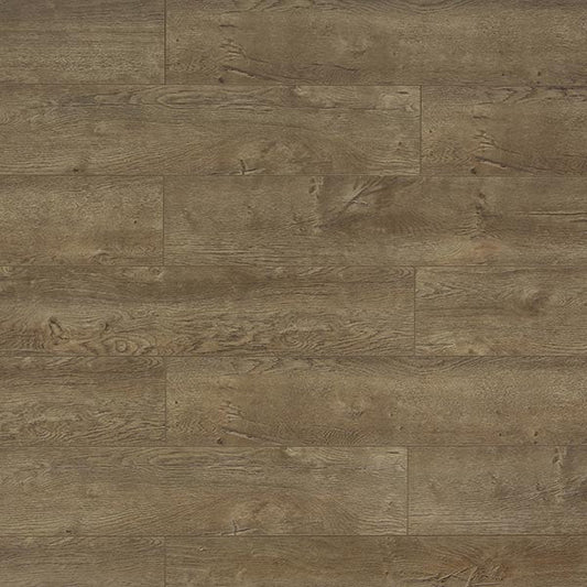 Toucan Laminate - TF6009 - F - TF 6009 - D & R Flooring