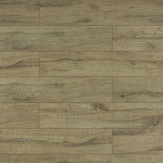 Toucan Laminate - TF6010 - F - TF 6010 - D & R Flooring