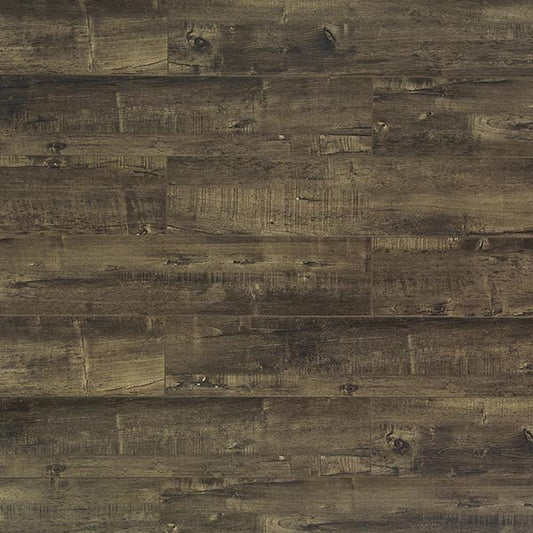 Toucan Laminate - TF6011 - F - TF 6011 - D & R Flooring