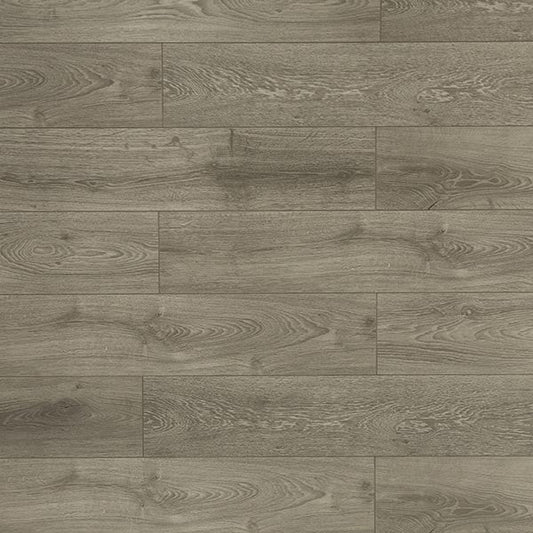 Toucan Laminate - TF6021 - F - TF 6021 - D & R Flooring
