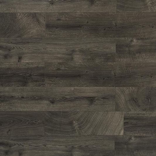 Toucan Laminate - TF6101 - F - TF 6101 - D & R Flooring