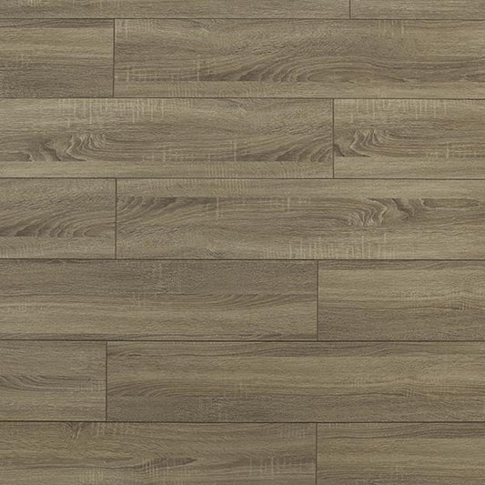 Toucan Laminate - TF6113 - F - TF 6113 - D & R Flooring